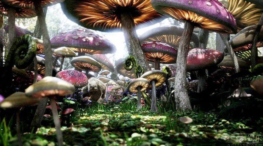 提升创新能力 壮大特色产业